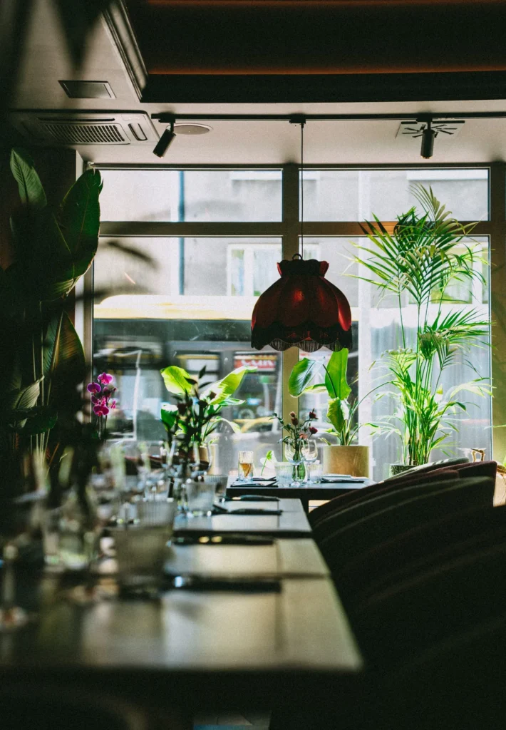 Stoliki i krzesła tapicerowane przy przeszklonej witrynie z roślinami w restauracji Restbotanica w Katowicach